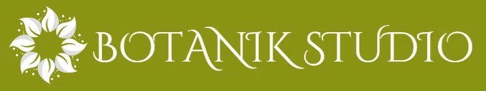BOTANIK STUDIO Shop